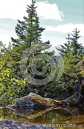 Alaskan landscape with trees reflection in water Stock Photo