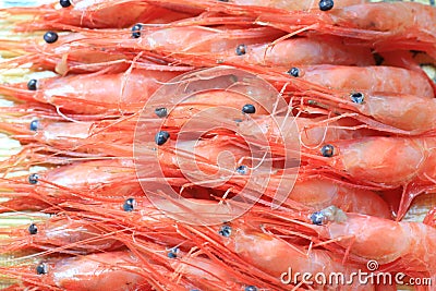 Alaskan pink shrimp Stock Photo