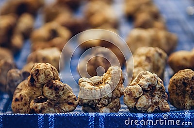 Alba white truffles at the Fiera del Tartufo Stock Photo
