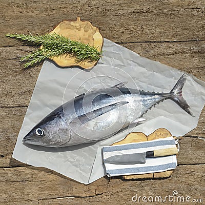 Albacore fish recently Stock Photo