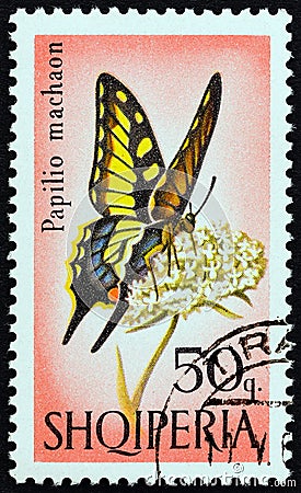 ALBANIA - CIRCA 1966: A stamp printed in Albania shows Swallowtail Papilio machaon butterfly, circa 1966. Editorial Stock Photo