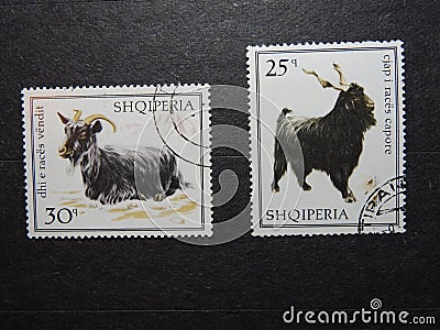 Albanian postage stamps with goats Editorial Stock Photo