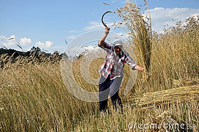 Albanian women harvest oat in the village of Turaj, Albania, 18 August 2018 Editorial Stock Photo