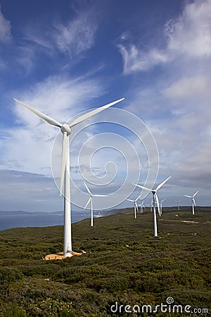 Albany Wind Farm Stock Photo