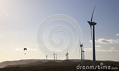 Albany Wind Farm Stock Photo