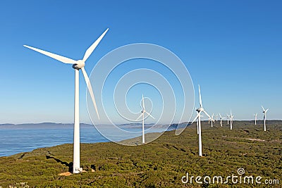 Albany Wind Farm Stock Photo