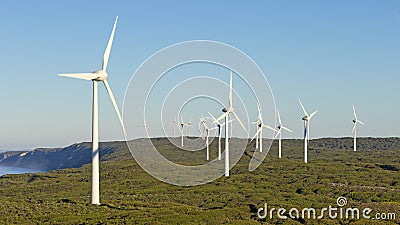 Albany Wind Farm Stock Photo