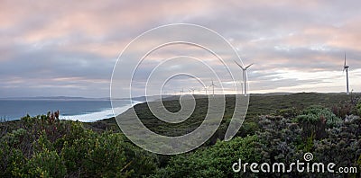 Albany wind farm panorama, Western Australia Stock Photo