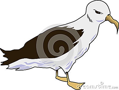 Albatross 001 Cartoon Illustration