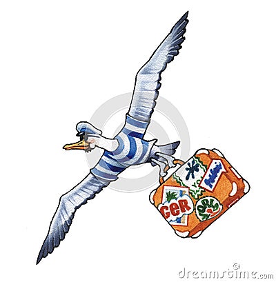 Albatross Stock Photo