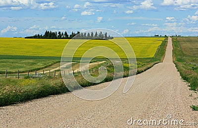 Alberta Farmlands Stock Photo