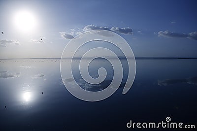 Albufera sunset in Valencia with seagull ducks Stock Photo