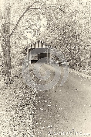 Albumen Print - Colville Covered Bridge Stock Photo