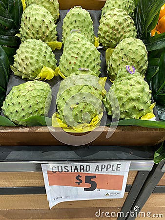 The group of big custard apple selling 5 dollars per each at Harris Farm Markets. Editorial Stock Photo