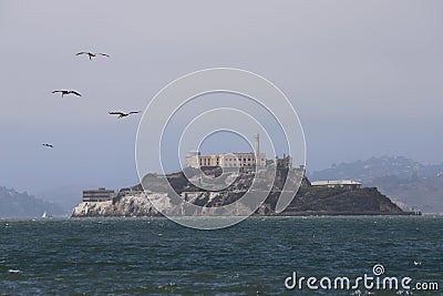 Alcatraz Island With Pelicans Editorial Stock Photo