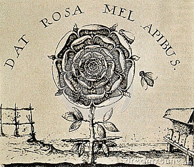 alchemical hermetic illustration of the rose cross by robert fludd Editorial Stock Photo