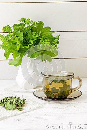 Alchemilla vulgaris, common lady's mantle medicinal herbal tea in clear cup. Fresh lady's mantle plants in vase. Stock Photo