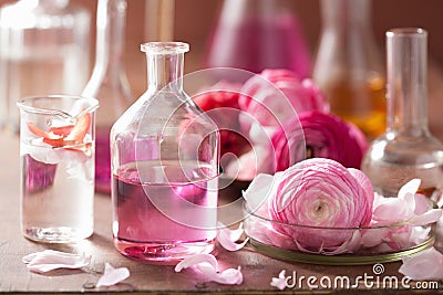 Alchemy and aromatherapy set with ranunculus flowers and flasks Stock Photo