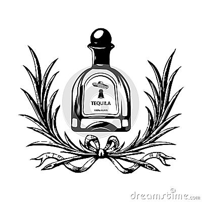 Alcohol Bottle tequilla Drink Drinking Cocktail Bar Pub Bartender Vintage Glass. Vector. Vector Illustration