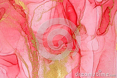 Alcohol ink red and gold abstract stains background. Drops watercolor transparent texture. Stock Photo