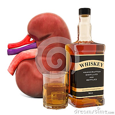 Alcohol`s Impact on Kidney Function concept. Human kidney with alcohol drink. 3D rendering Stock Photo