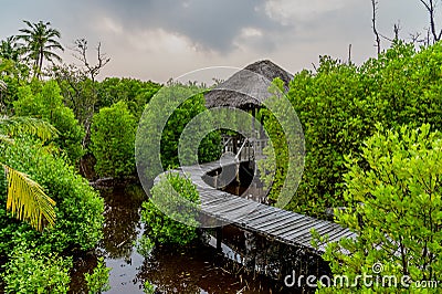 Alcove and bridge at the mangrove tropical nature park at Landhoo island at Noonu atoll Stock Photo
