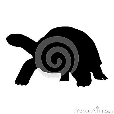 Aldabra Giant Tortoises Silhouette Side View Preview Isolated On White Background Vector Illustration