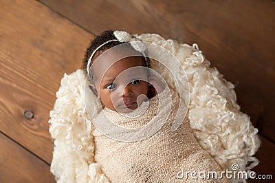 Alert Newborn Baby Girl Swaddled in a Stretch Wrap Stock Photo