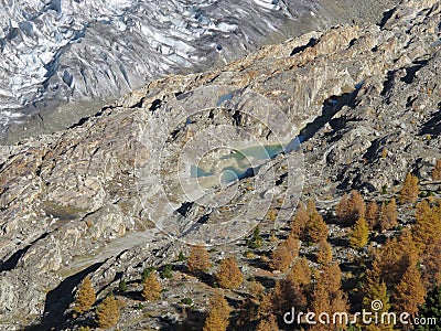 Aletsch Glacier And Colorful Larch Forest Stock Photo