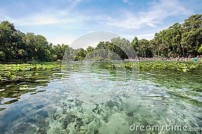 Alexander Springs Recreational Area, Ocala Editorial Stock Photo