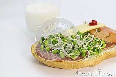 Alfalfa sprouts sandwich Stock Photo