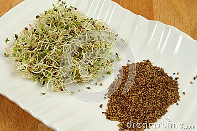 Alfalfa sprouts and seeds Stock Photo