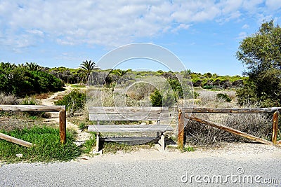 Alfonso XIII Park in Guardamar del Segura, Alicante. Spain. Europe. September 23, 2019 Stock Photo