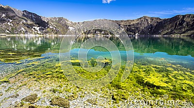 algae, clear water and emerald green lake of the Quilotoa volcanic caldera with a beautiful blue sky Stock Photo