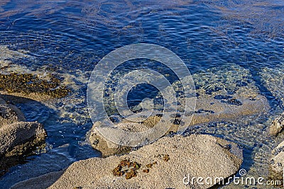 Algae in clear water in the rocky shore Stock Photo