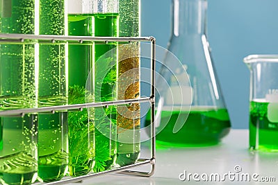 Algae fuel biofuel industry lab researching for alternative to fossil algae fuel or algal biofuel Stock Photo