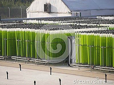 Algae growing farm Stock Photo