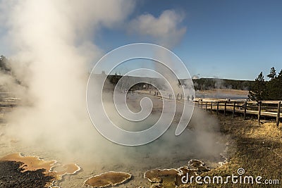 Algae growth and steam in a Hot Spring Fountain Paint Pot Yellowstone National Park. Stock Photo