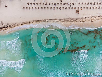 Algae pollution. White sandy beach and seaweed in the sea water. Aerial photography. Abstraction. Combating the greenhouse effect Stock Photo