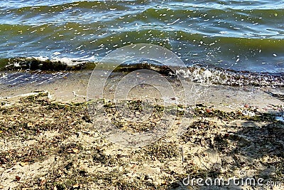 Algal bloom due to pollution and phosphate in water, Water pollution caused by chemicals Stock Photo