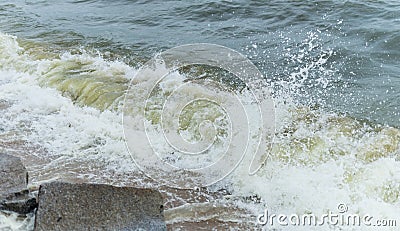 Algal bloom in sea Stock Photo