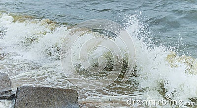 Algal bloom in sea Stock Photo