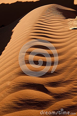 Algeria Sahara dune landscape light game Stock Photo