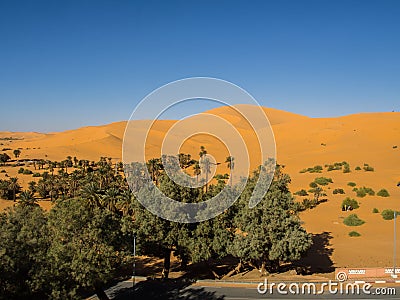 Algerian Sahara desert Golden sand dunes and palm trees Stock Photo