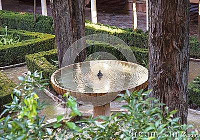 Alhambra Fountain Garden Granada Andalusia Spain Stock Photo