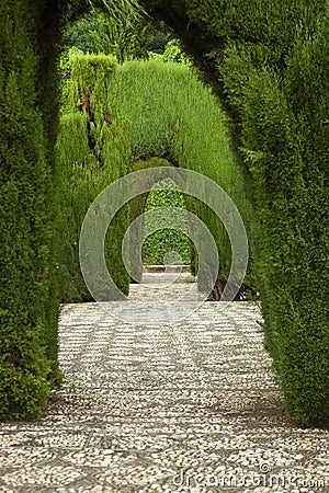 Alhambra garden Stock Photo