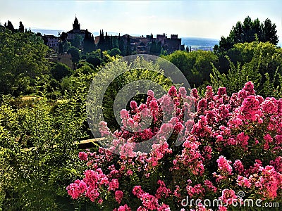 Alhambra garden and palaces, Granada Stock Photo