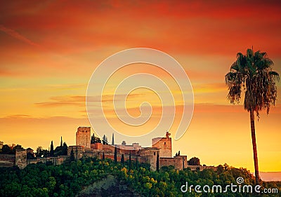 Alhambra Sunset with palm tree Granada Stock Photo