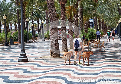 Alicante, Spain - June 30, 2016: The promenade Explanada of Spain in Alicante is paved with 6.5 million marble floor Editorial Stock Photo