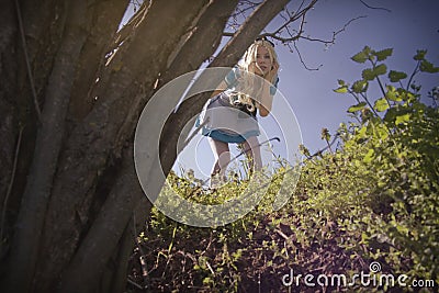 Alice in Wonderland Stock Photo